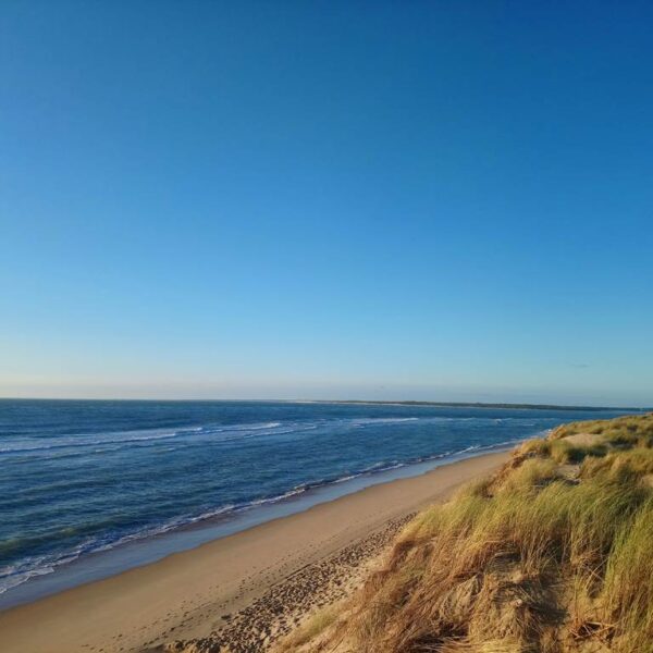 Plage à proximité du Camping Les Pins de Sel en Charentes maritimes entre La Palmyre et Royan