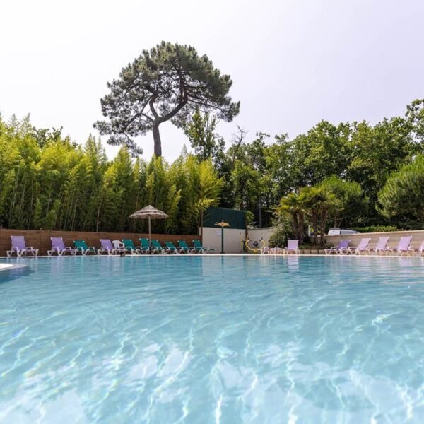 Piscine du Camping Les Pins de Sel en Charentes maritimes entre La Palmyre et Royan