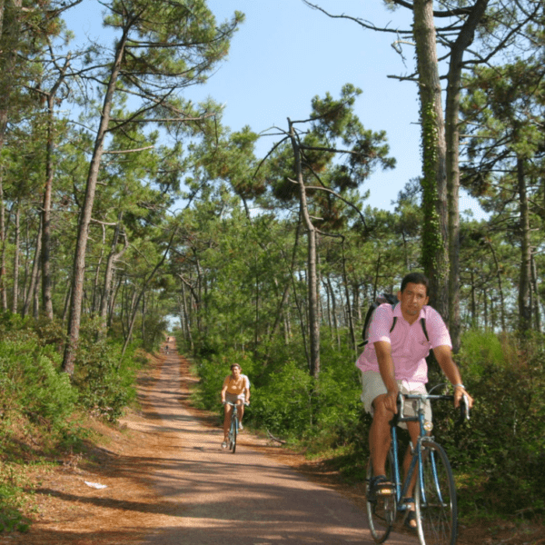 Balade à vélo à proximité du Camping Les Pins de Sel en Charentes maritimes entre La Palmyre et Royan