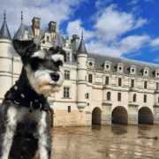 Parc du Chateau de Chenonceau