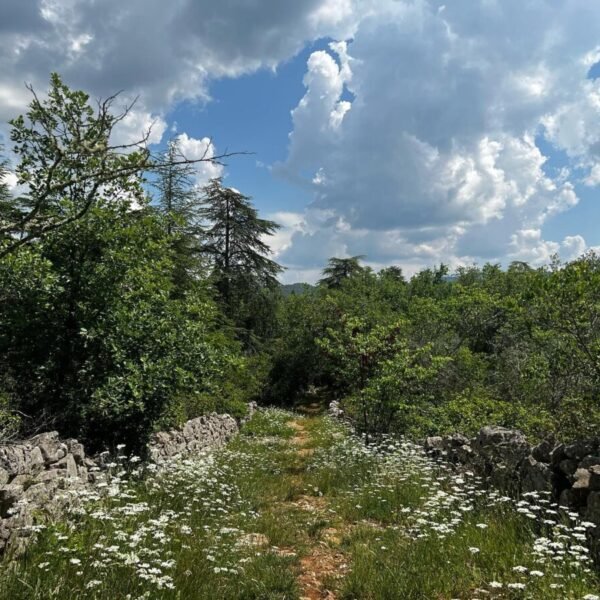 Balade dans la nature autour du Domaine de la Barnerie, village de gites en Ardèche dans le Sud de la France
