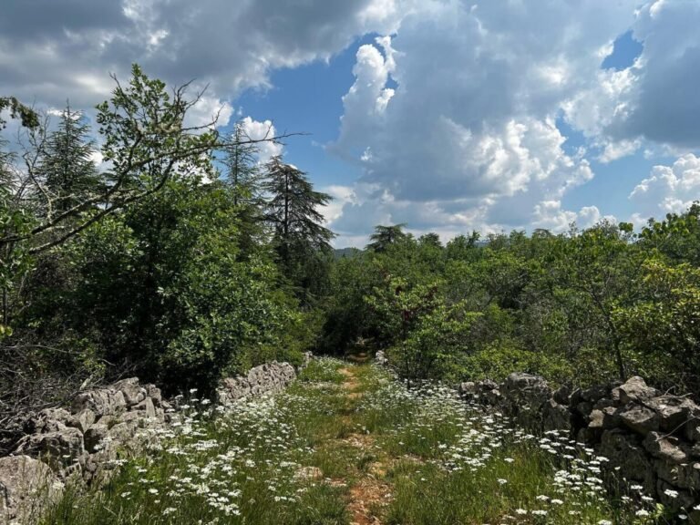 Balade dans la nature autour du Domaine de la Barnerie, village de gites en Ardèche dans le Sud de la France