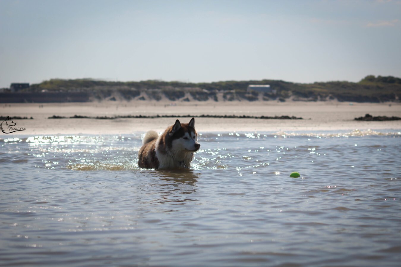 Stella Plage (plage nord)
