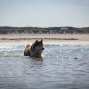 Stella Plage (plage nord)