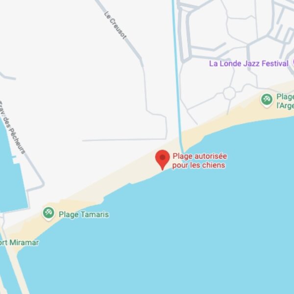 Plage de l'argentière : plage de Tamaris - plage autorisée aux chiens dans le Var - EmmèneTonChien.com