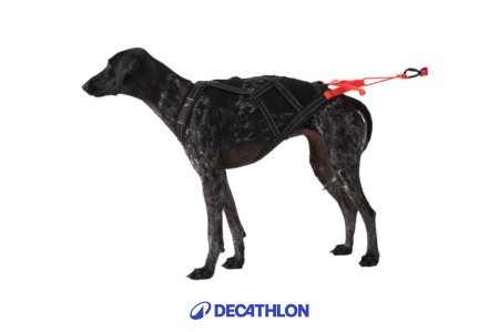 harnais x-back chien decathlon