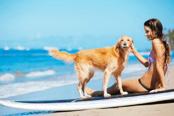 5 bonnes raisons d’emmener votre chien avec vous en vacances