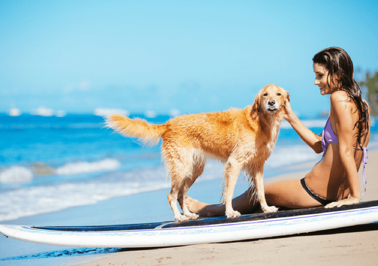 5 buoni motivi per portare il tuo cane con te in vacanza