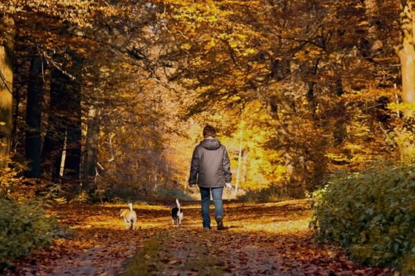 5 activités à faire pendant les vacances de Toussaint