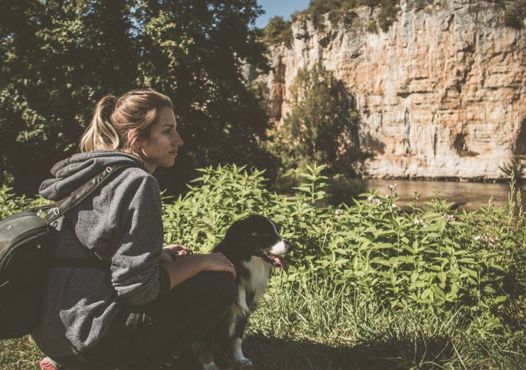 BringTonDog – zum ersten Mal mit Hund in den Urlaub fahren