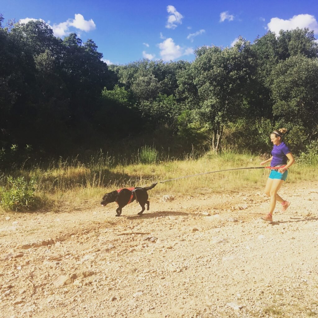 Cani-cross o cani-trail: el equipo adecuado para correr con tu perro