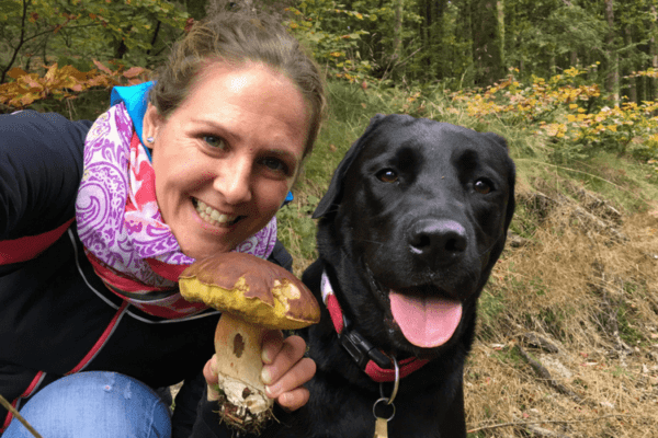 Balade en forêt avec son chien : champignons et intoxication