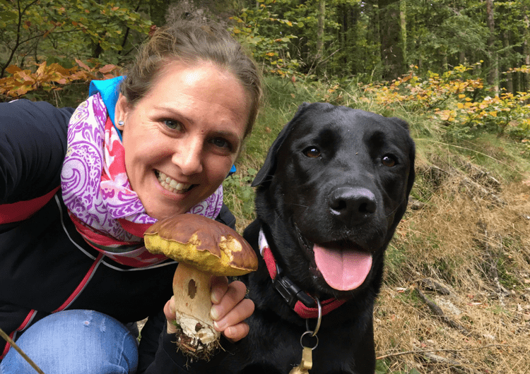 Wandelen in het bos met je hond: paddenstoelen en vergiftiging
