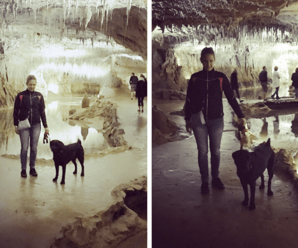 Visitez une grotte avec votre chien cet été!