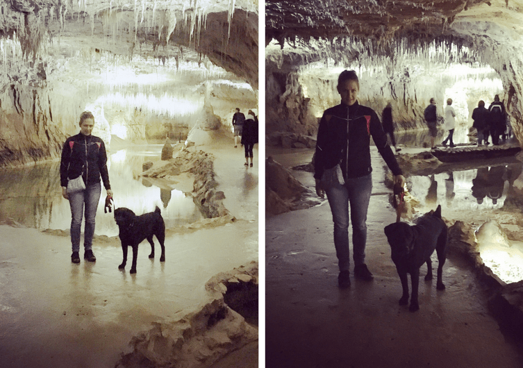 Visitez une grotte avec votre chien cet été!