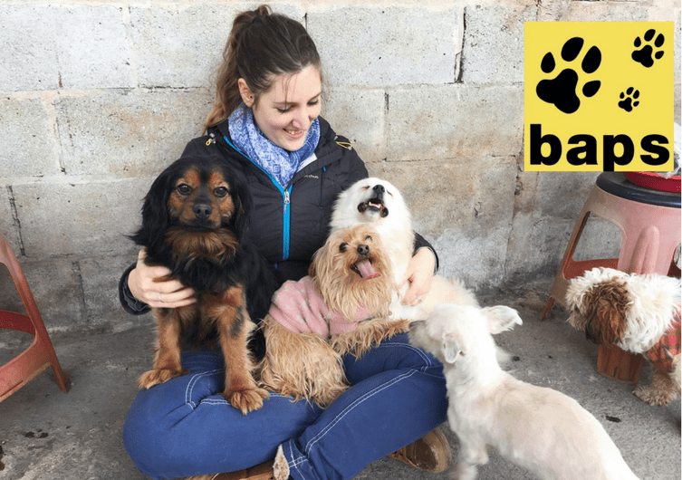 photo of Charlène in South Korea in Busan with dogs