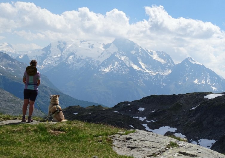 Eloïse and Anis - Going to the Alps with a dog