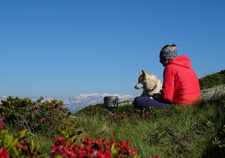 EmmèneTonChien - Ski joëring avec son chien