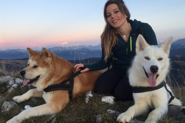 Bivouac et cani-rando en montagne