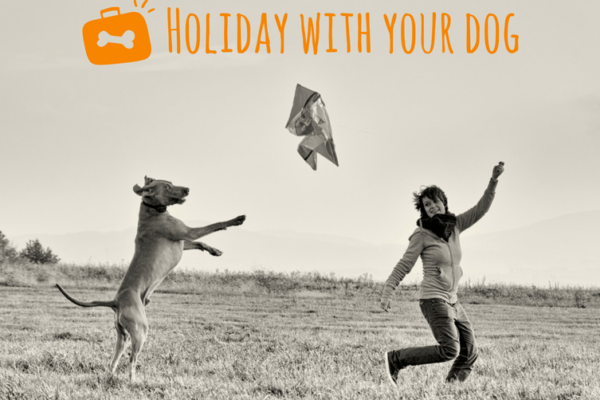 Holidays with your dog