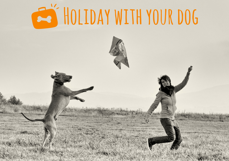 Holidays with your dog
