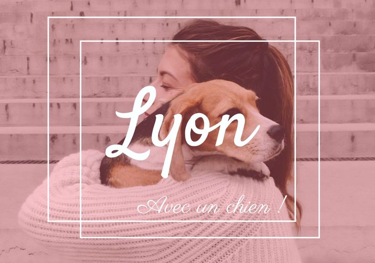 Lyon avec son chien: visite guidée par Loxen et Margot
