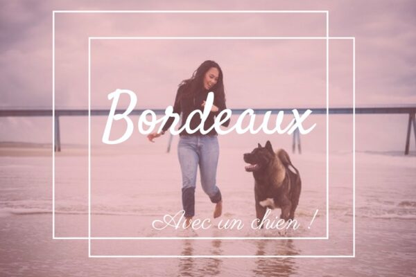 Emmène ton chien à Bordeaux
