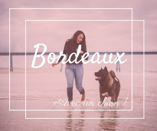Emmène ton chien à Bordeaux