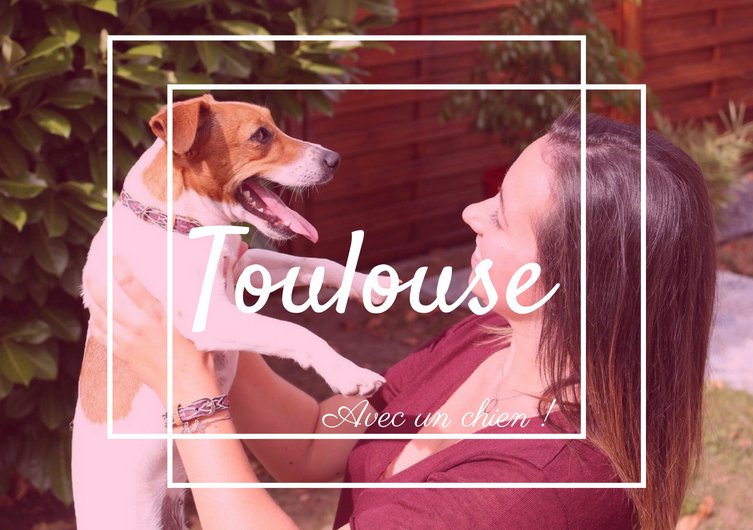 Toutoulouse – visite Toulouse com um cachorro