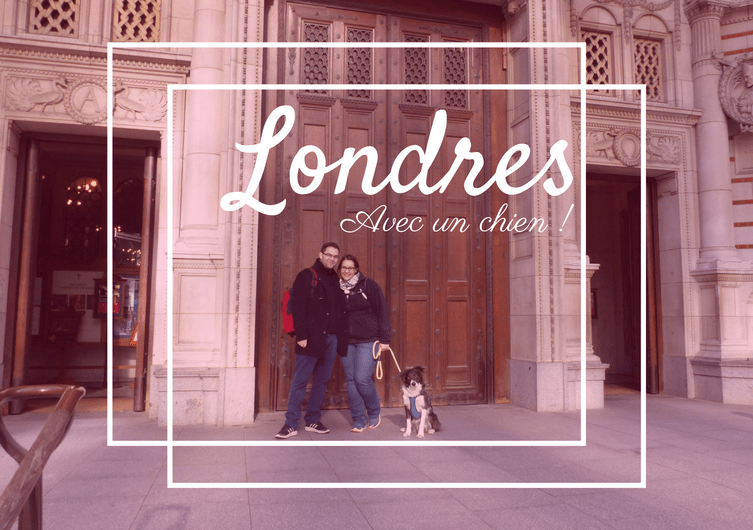 Visit London with your dog