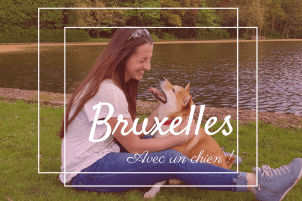Bruxelles avec  un chien, une capitale Trop W’ouf