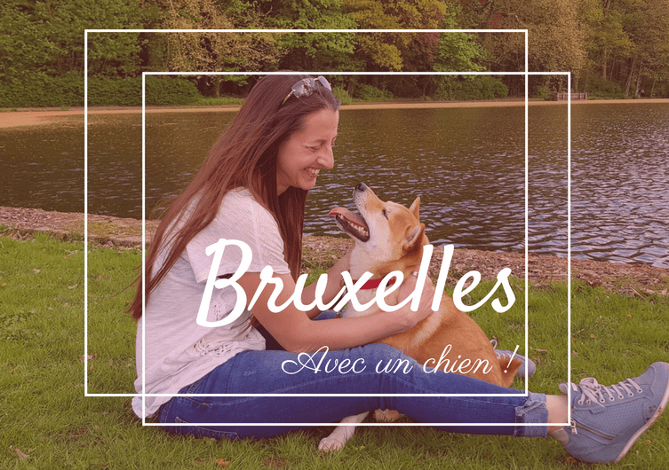 Bruxelles avec  un chien, une capitale Trop W’ouf
