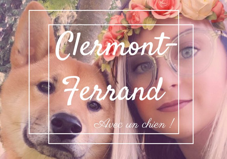 A few days of vacation in Clermont-Ferrand with a dog
