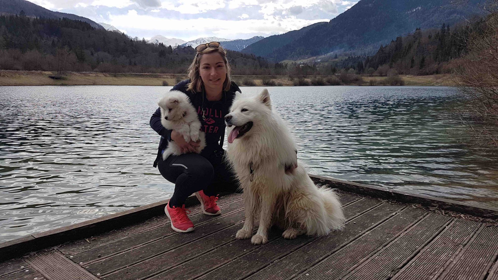 A vacation in the mountains with your dogs