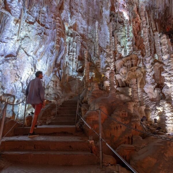 Un escalier entouré de stalagmites dans la Grotte de l'Aven Armand à Hures-la-Paradeen Lozère en Occitanie