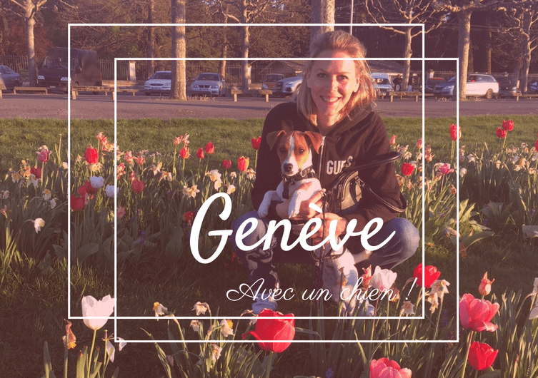 Breng een weekend door in Genève met uw hond