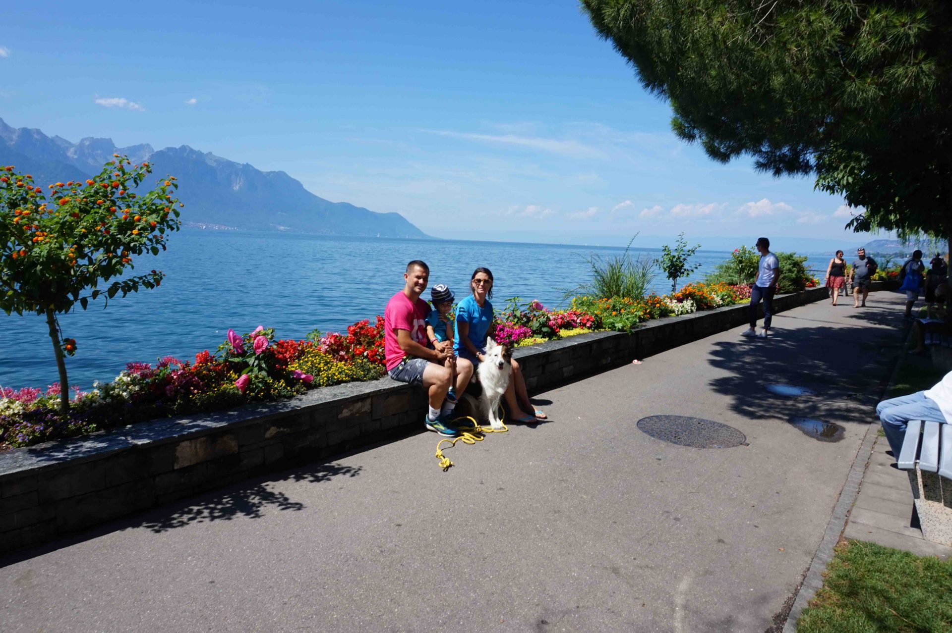 vacances en suisse avec un chien - lac Léman - lac de constance - chien - vacances, emmenetonchien.com