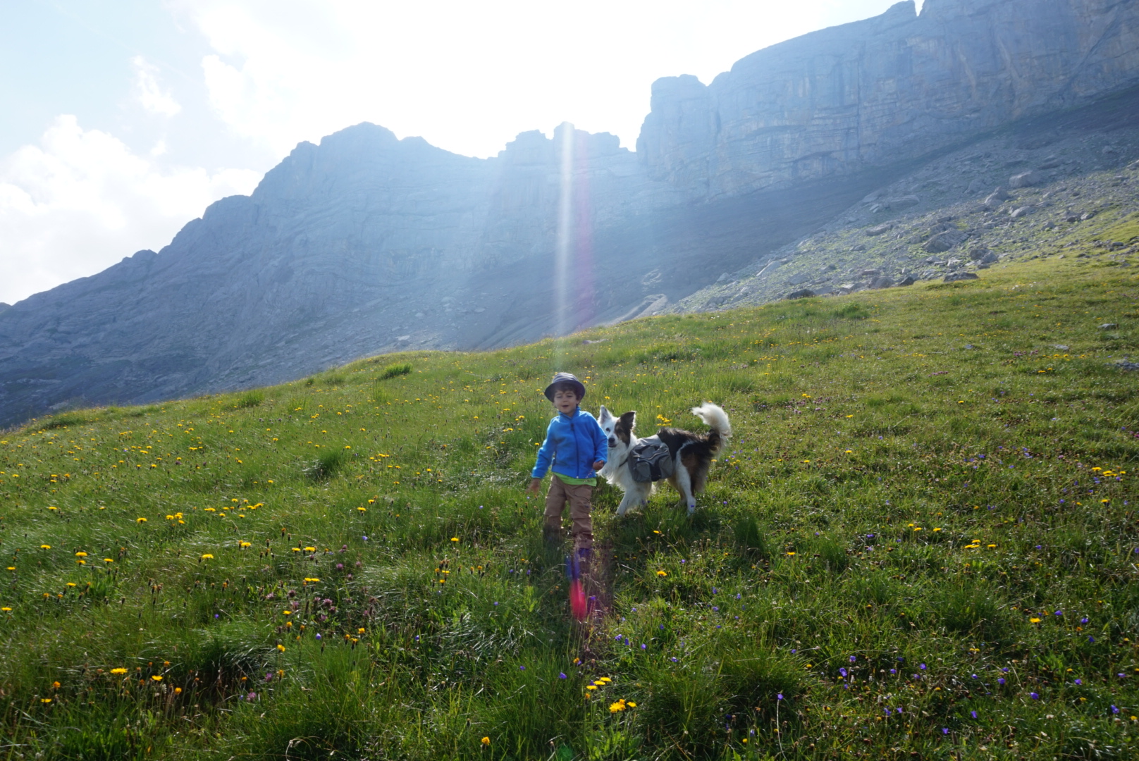 vacances avec son chien en Suisse