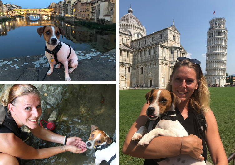 viajando para a Itália com seu cachorro