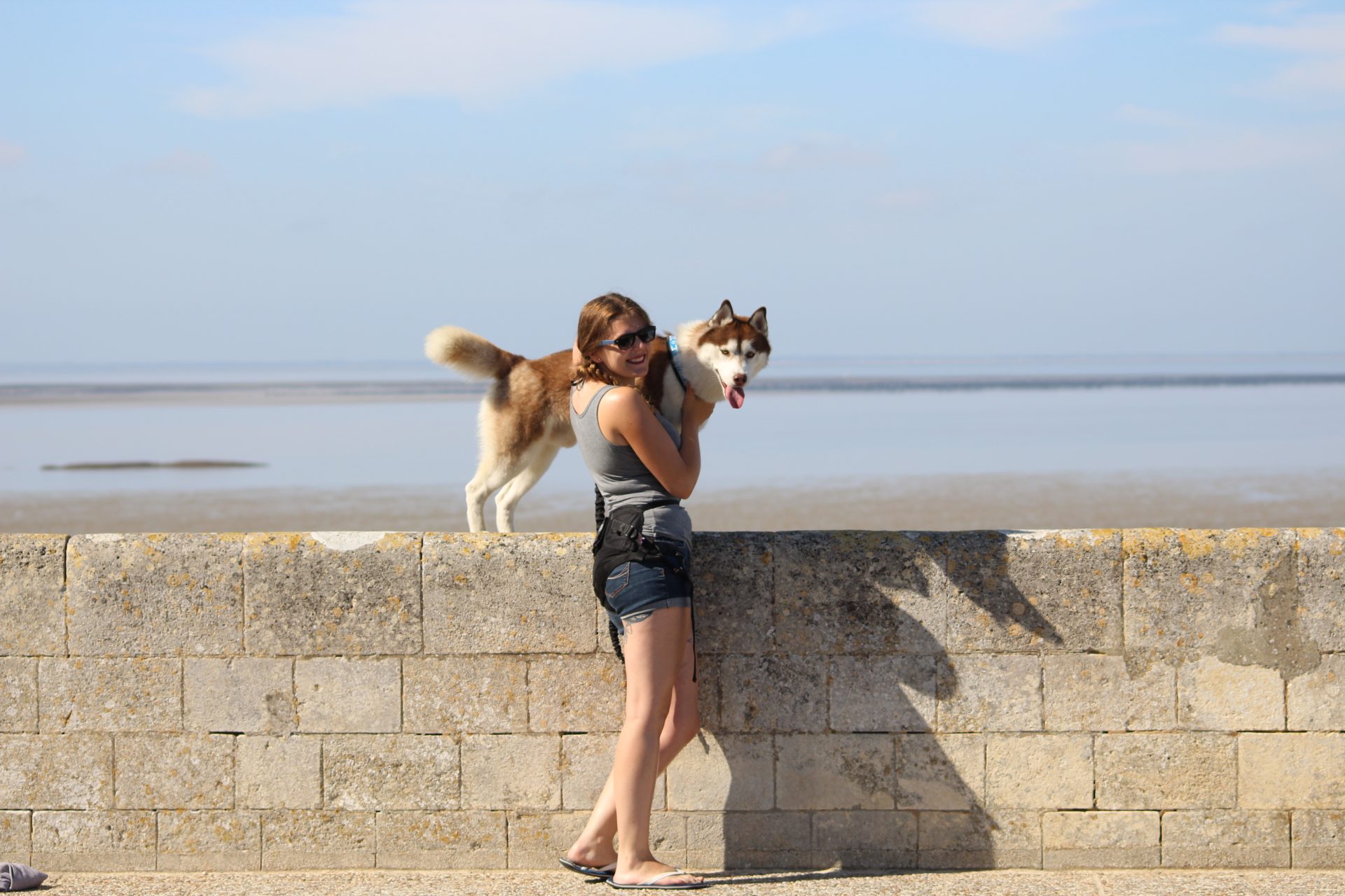 Découvrez la Charente-Maritime avec votre chien