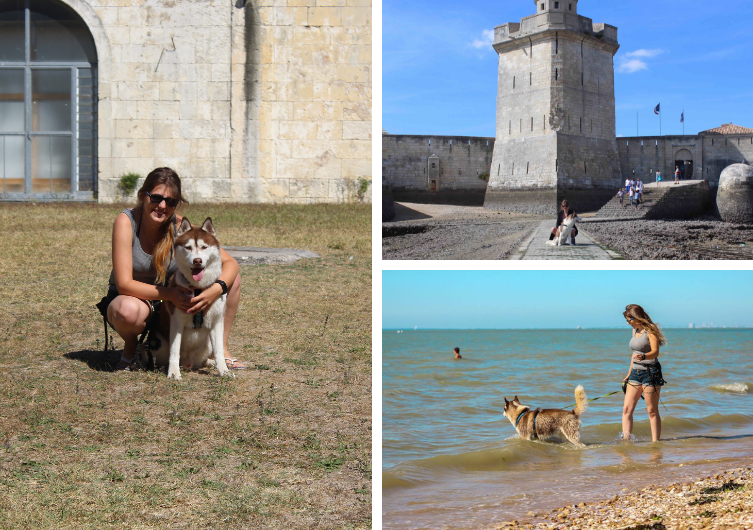 férias em Charente marítima com seu cachorro