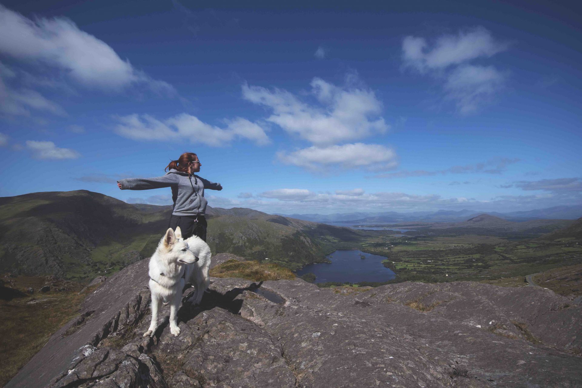 Going to Ireland with your dog