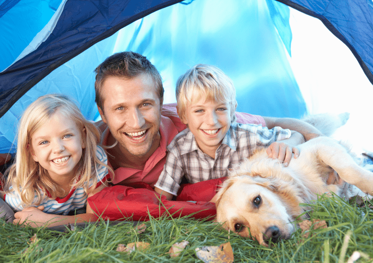 The top 10 things we love to do at the campsite with our dog