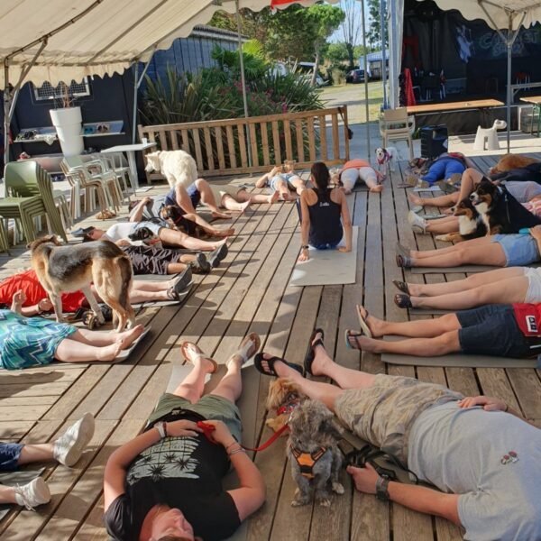 Une séance de dog yoga au Camping du port de moricq en Vendeée dans le Pays de la Loire