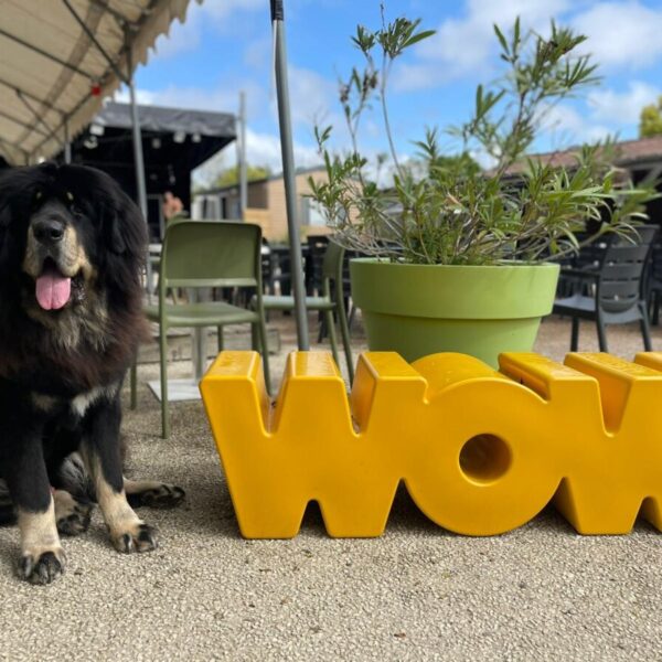 Un chien à côté du mot wow au Camping du port de moricq en Vendeée dans le Pays de la Loire