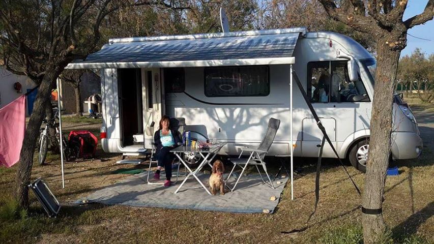 A motorhome trip with our dog