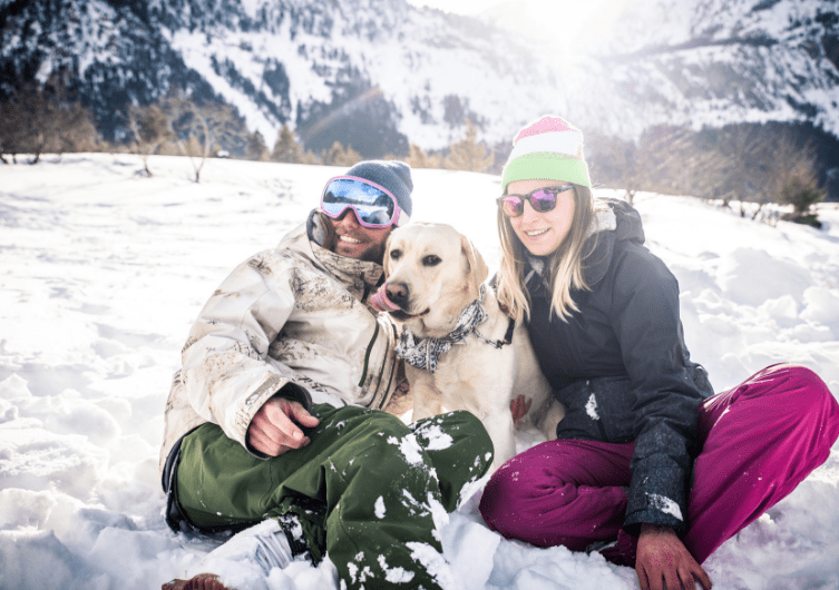 Vacances aux sports d’hiver avec un chien