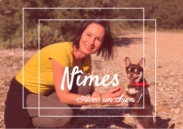 Partir en vacances à Nîmes avec son chien