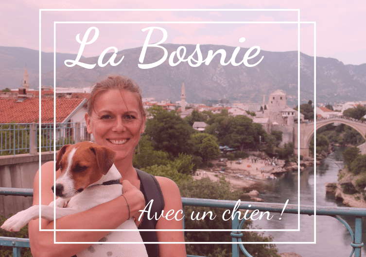 Visitando a Bósnia com seu cachorro