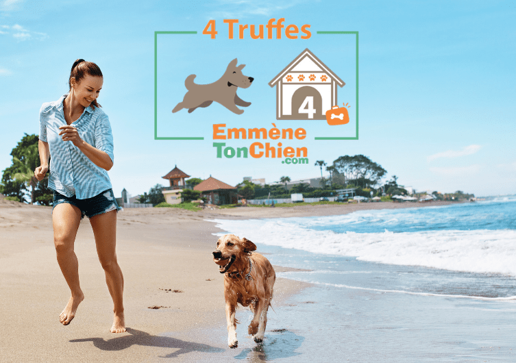 Um rótulo dog-friendly, trufas e cachorros felizes